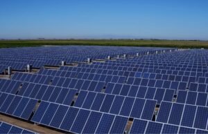 Overhead view of a large installation of ground mounted solar panels